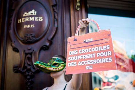 protest hermes|hermes animal skins ban.